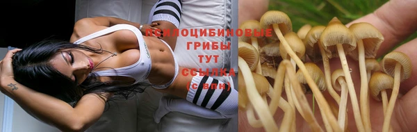 кокаин премиум Алексеевка