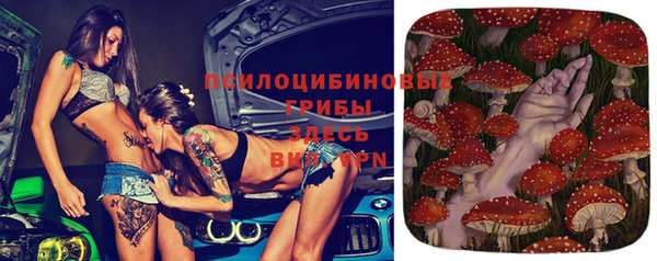 гидропоника Алексин